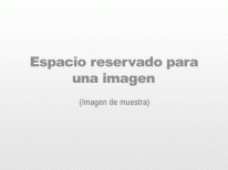 Haga click para ampliar la imagen